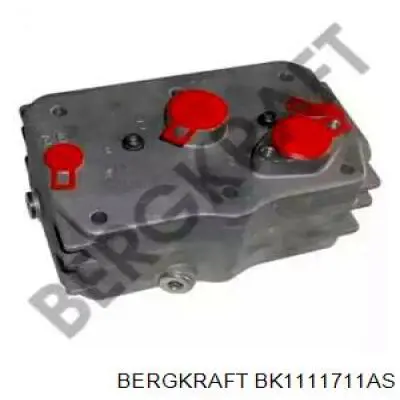 Головка компрессора BK1111711AS BERGKRAFT