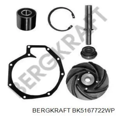 Помпа BK5167722WP Bergkraft