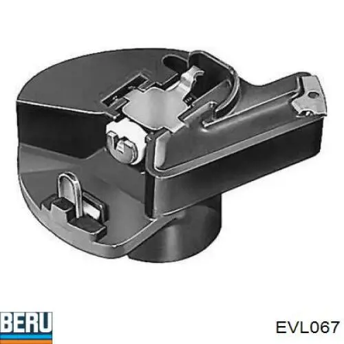 Rotor del distribuidor de encendido EVL067 Beru