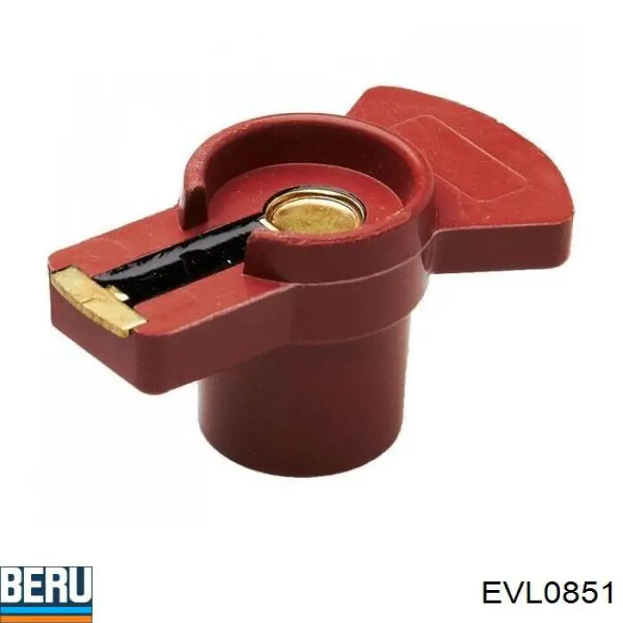 Compre EVL0851 Beru Slider (rotor) de distribuidor de ignição, distribuidor