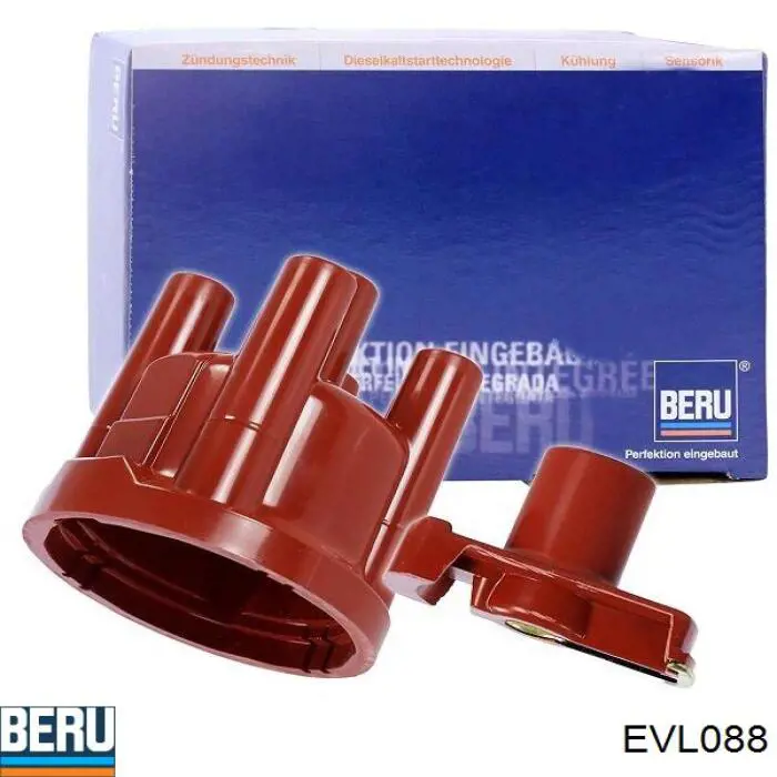 EVL088 Beru