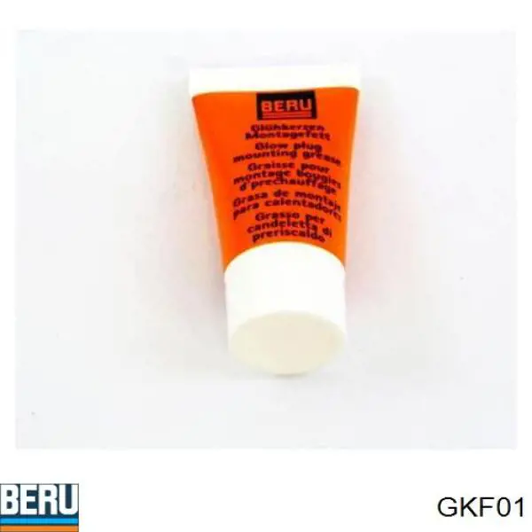 Смазка для монтажа форсунок и свечей накала GKF01 Beru