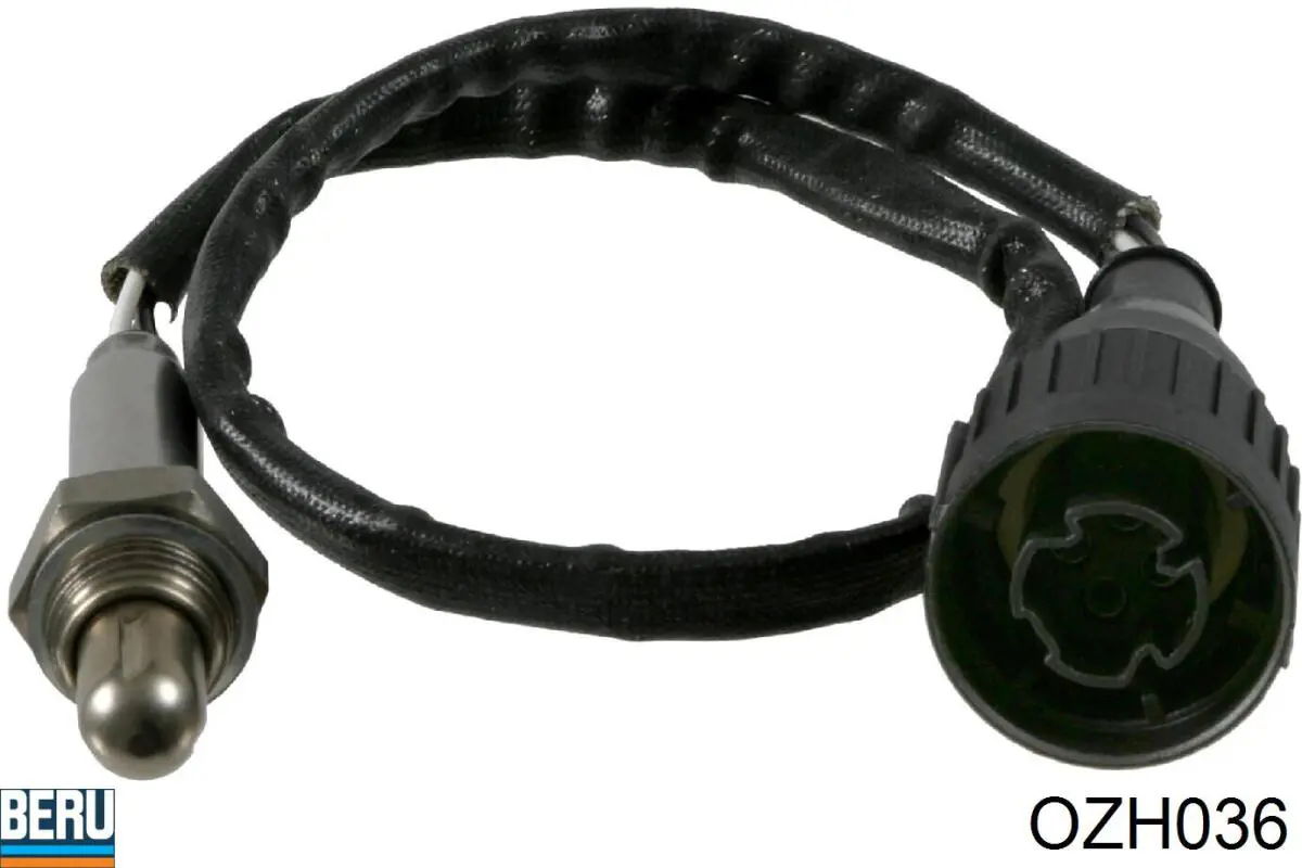 OZH036 Beru