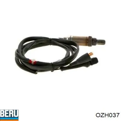 FI379061220 NERNST Датчик кислорода