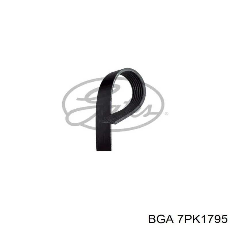 Купить 7PK1795 BGA Ремень генератора