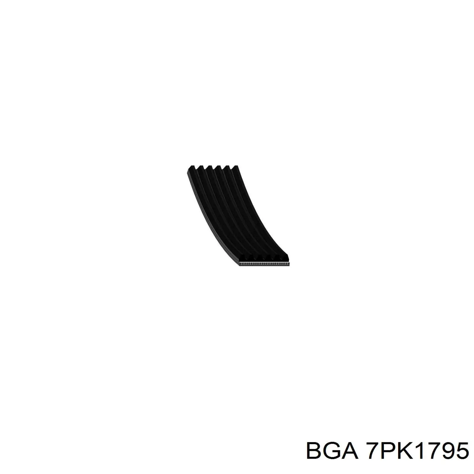 Correa trapezoidal 7PK1795 BGA