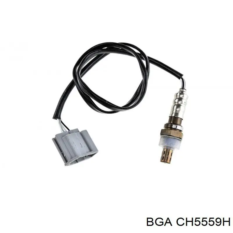 CH5559H BGA vedante de cabeça de motor (cbc)