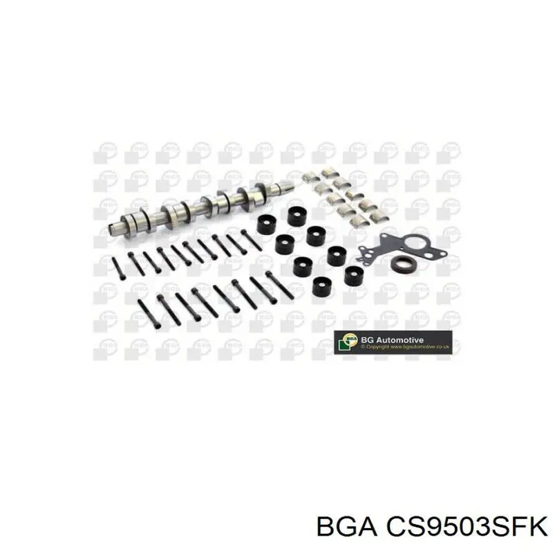 CS9503SFK BGA