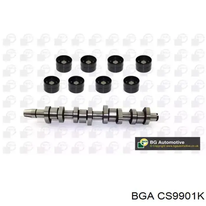 Купить CS9901K BGA Распредвал двигателя, комплект