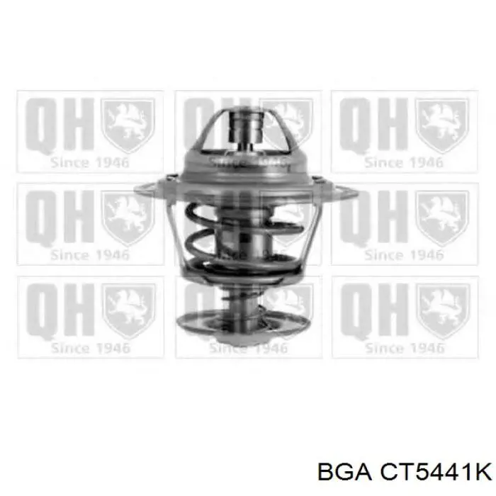 Термостат CT5441K BGA
