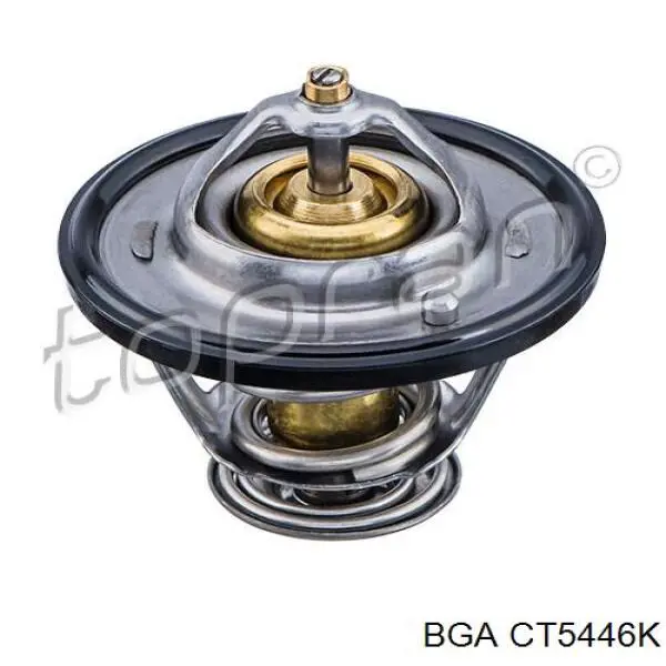 Термостат в сборе BGA CT5446K