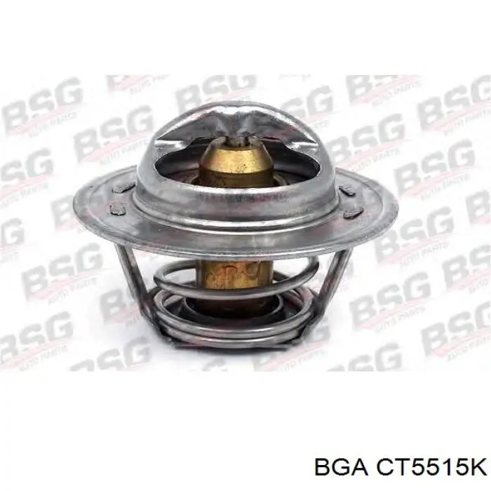 Термостат в сборе BGA CT5515K
