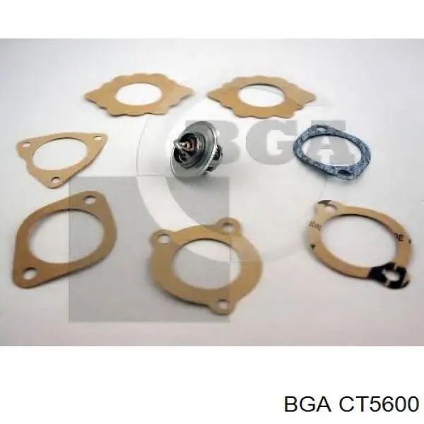 Термостат CT5600 BGA
