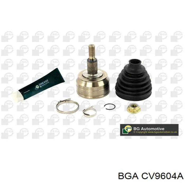 CV9604A BGA