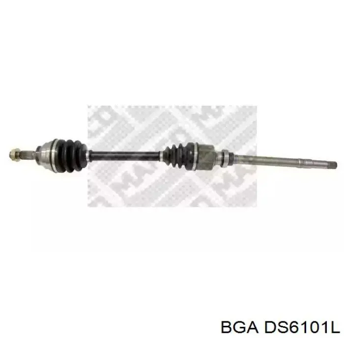 DS6101L BGA