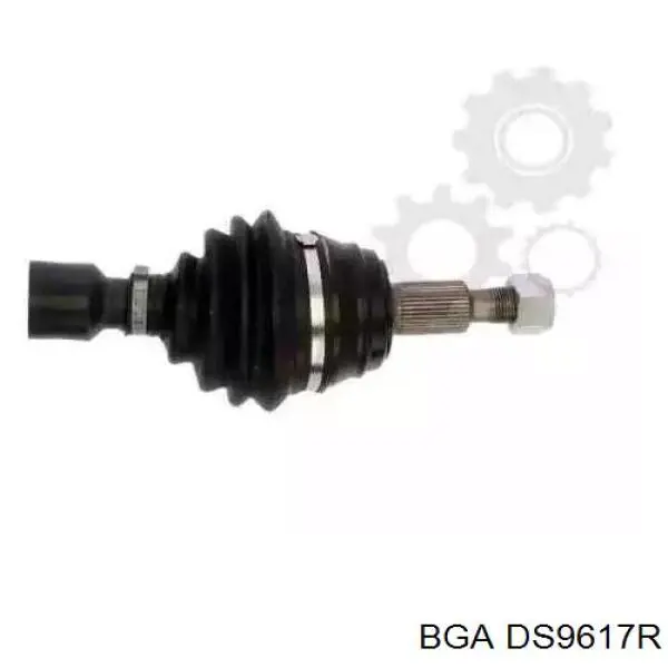 DS9617R BGA
