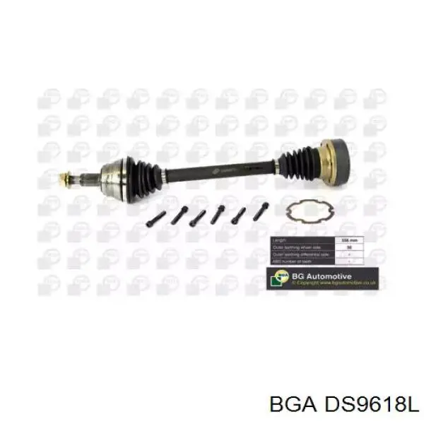 DS9618L BGA