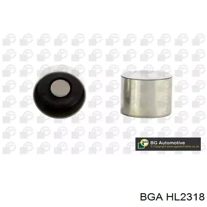  HL2318 BGA