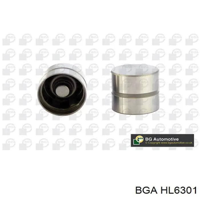 HL6301 BGA