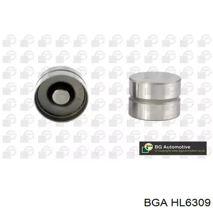 HL6309 BGA гидрокомпенсатор
