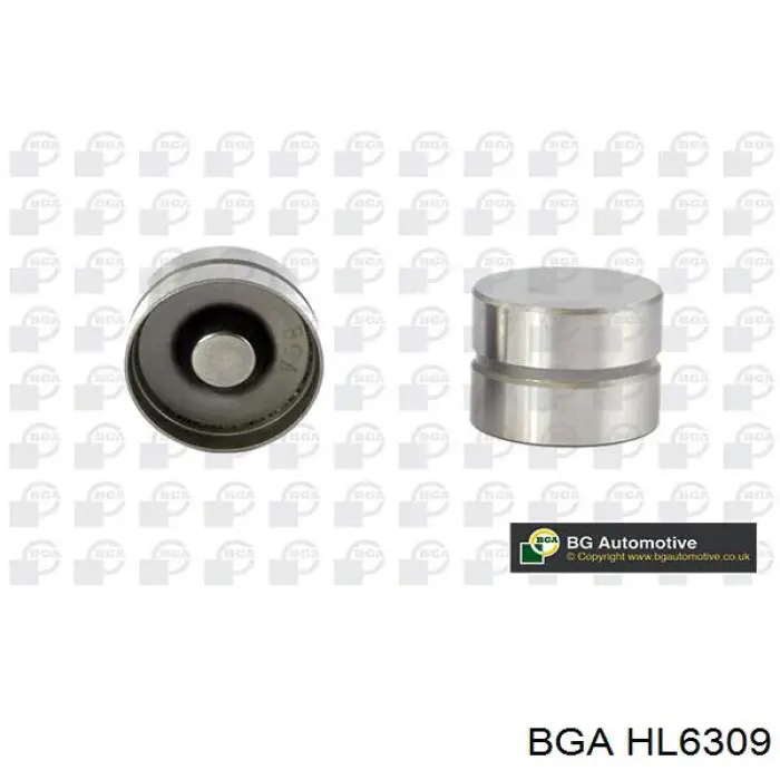 HL6309 BGA