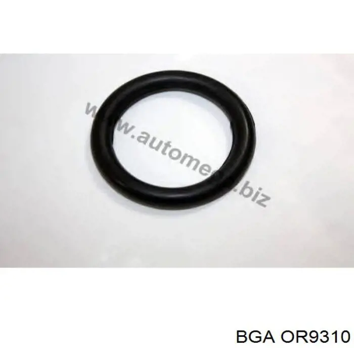 Compre RWS2485 Rotweiss Vedante de tubo coletor de admissão