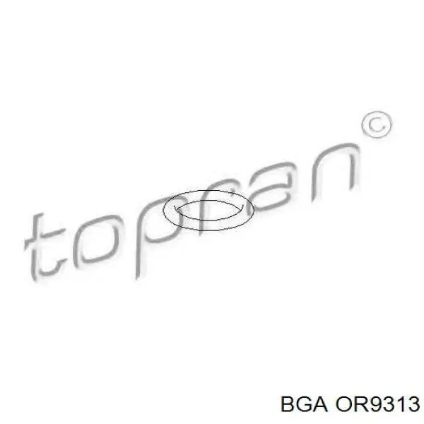 OR9313 BGA