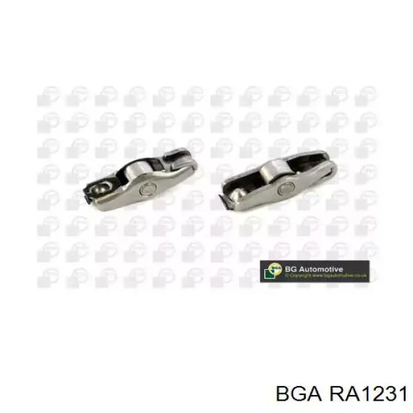 RA1231 BGA