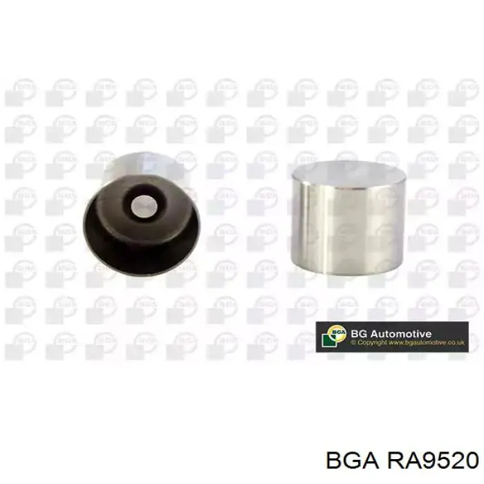 RA9520 BGA