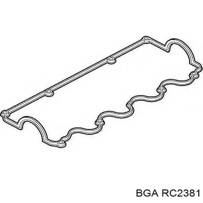 RC2381 BGA