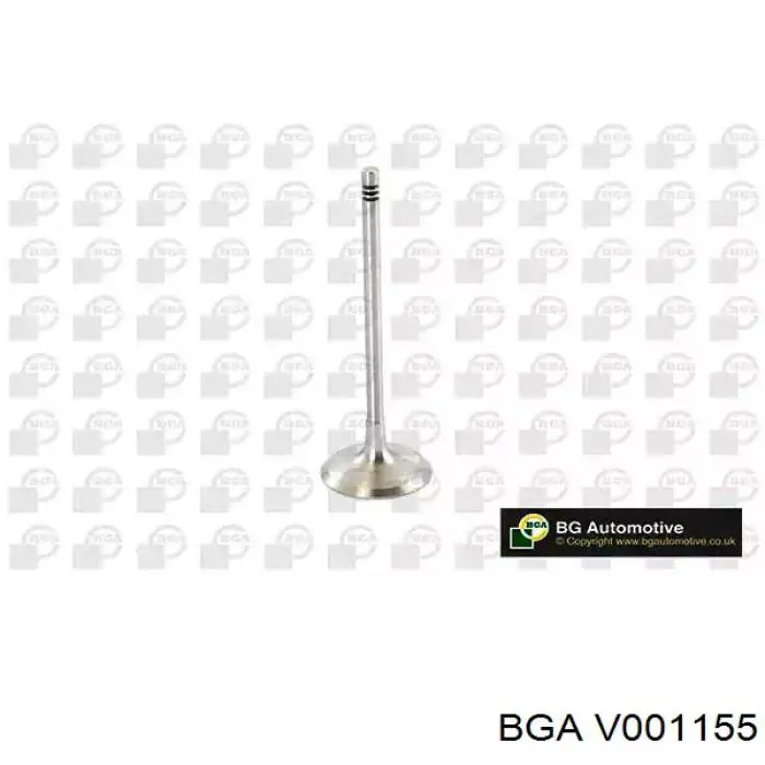V001155 BGA впускной клапан