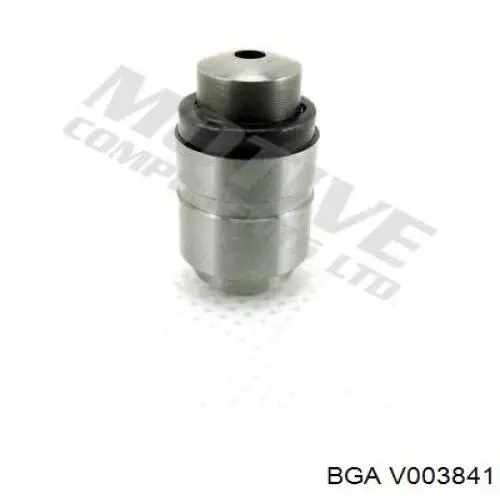 V003841 BGA клапан впускной