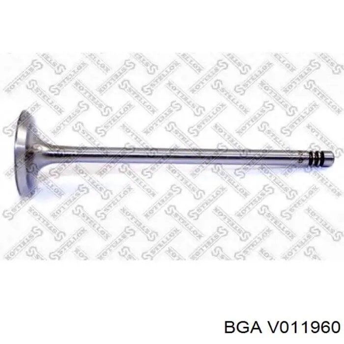 V011960 BGA клапан впускной