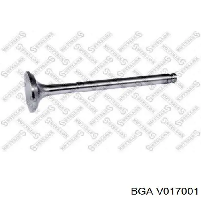 V017001 BGA клапан выпускной