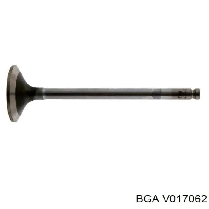 V017062 BGA