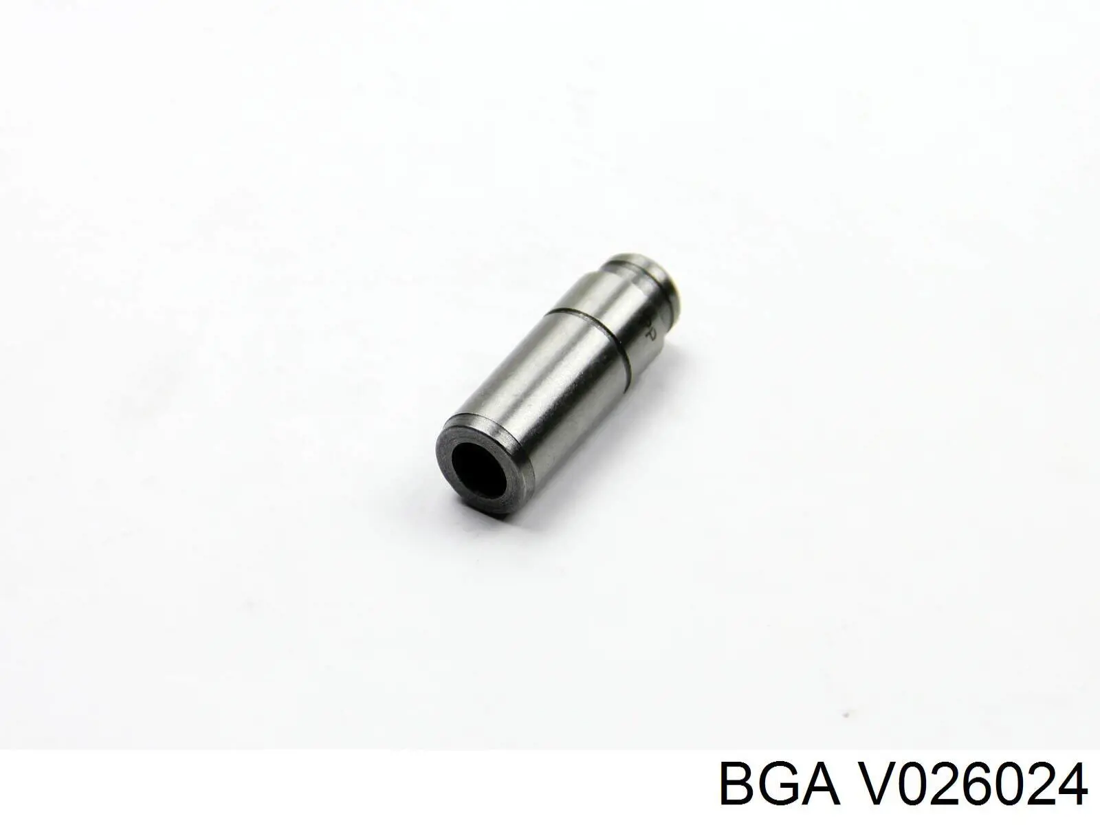 V026024 BGA клапан впускной