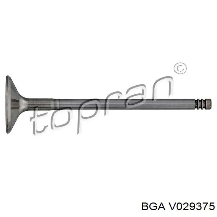 Впускной клапан V029375 BGA