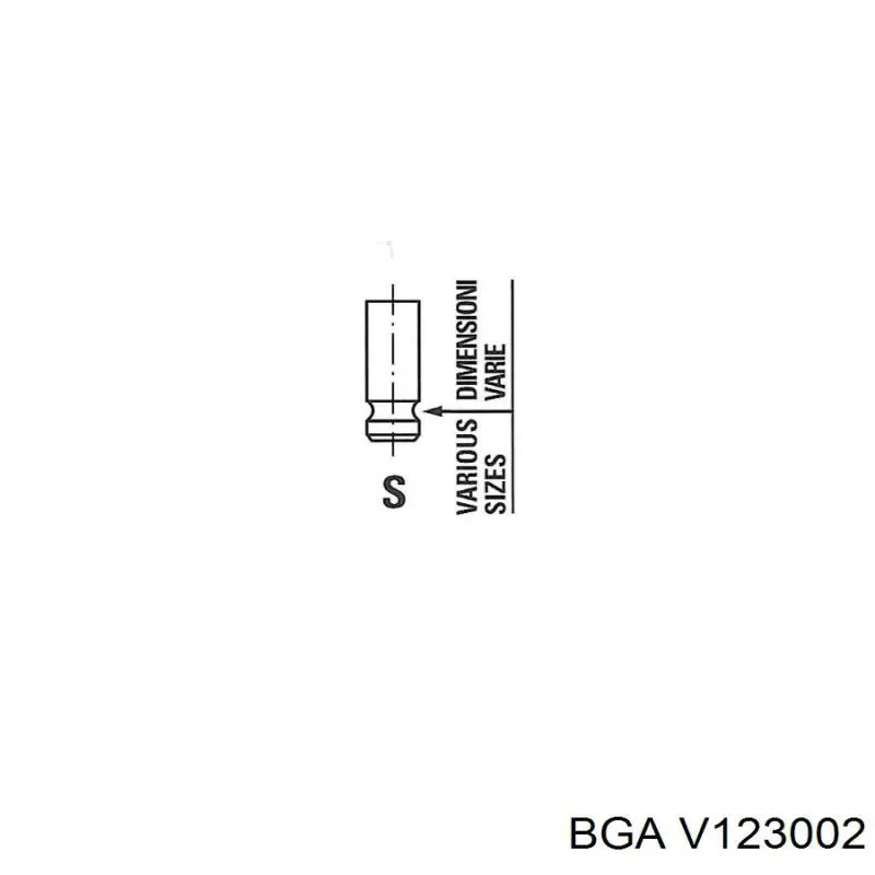 V123002 BGA válvula de admissão