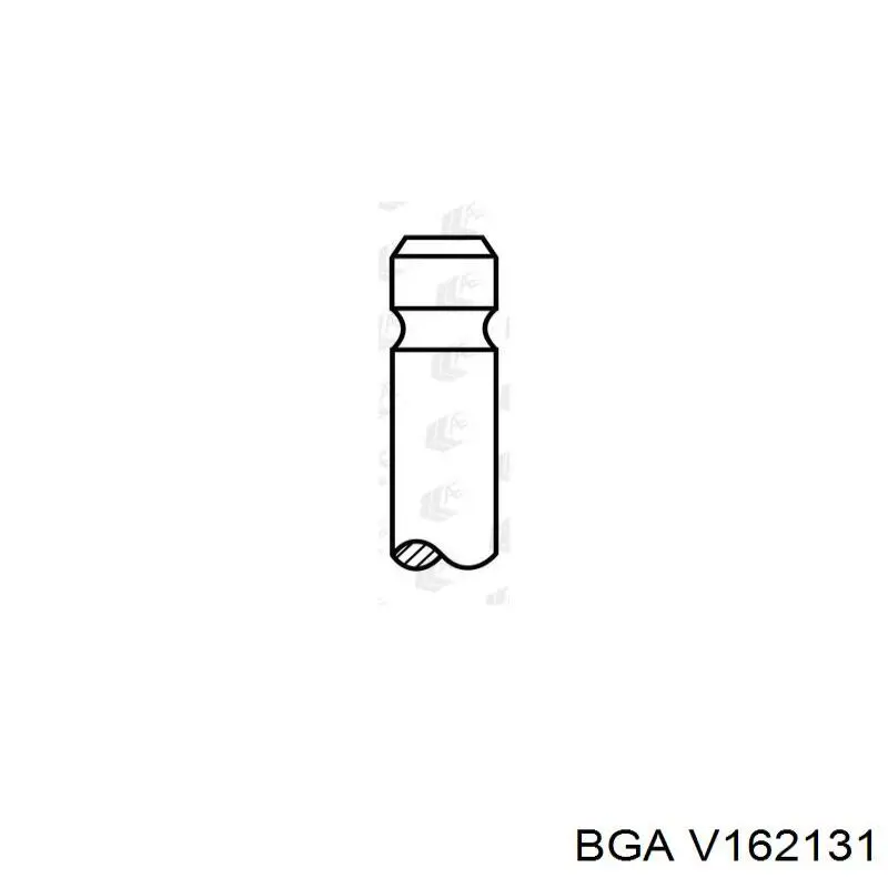 V162131 BGA