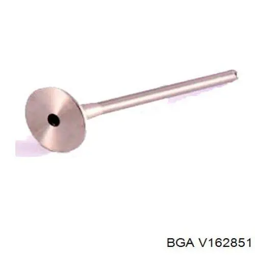V162851 BGA Выхлопной клапан