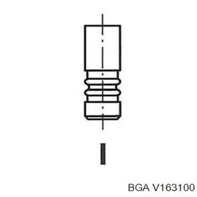 V163100 BGA válvula de admissão