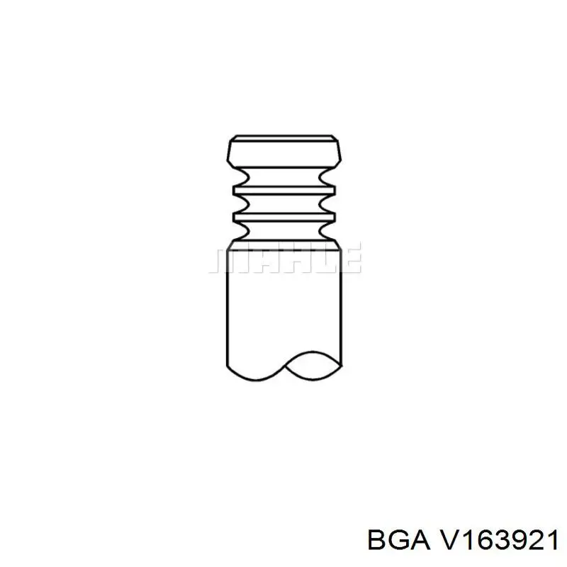 V163921 BGA клапан выпускной