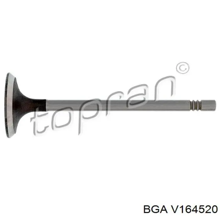 V164520 BGA впускной клапан