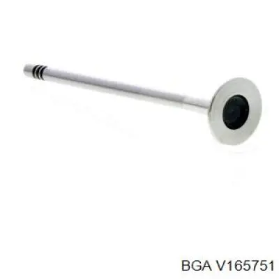 V165751 BGA клапан выпускной