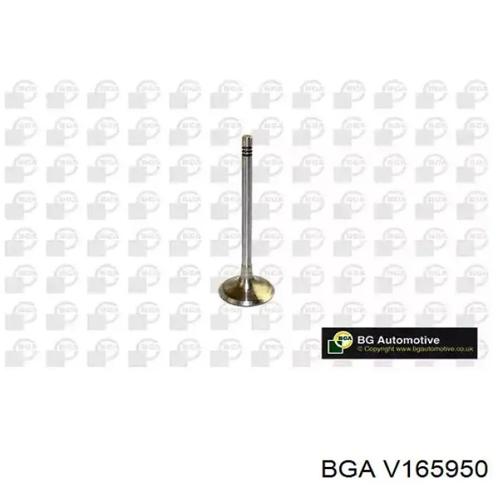 V165950 BGA клапан впускной