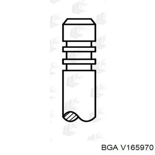 Впускной клапан V165970 BGA