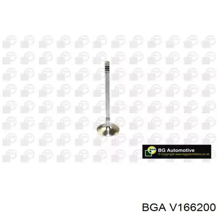 Впускной клапан V166200 BGA