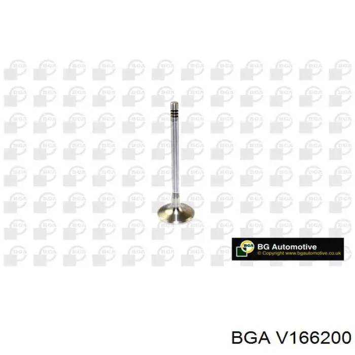 V166200 BGA