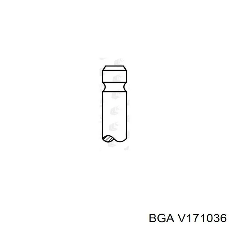 V171036 BGA