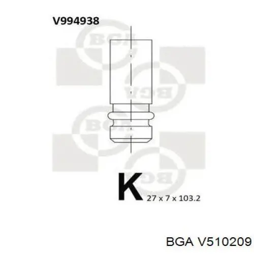 V510209 BGA